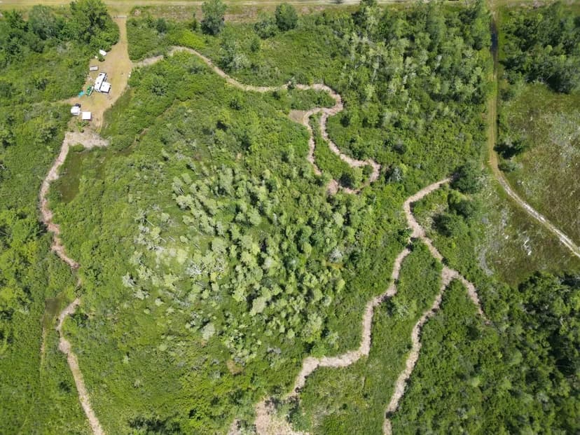 Taylor County 15 Acres