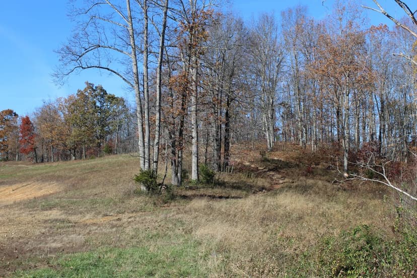90 Acres in Greenup County, KY