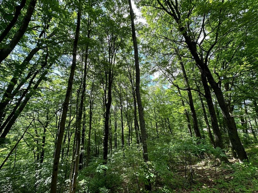 Property from 0 Dynasty Ridge Road - KW