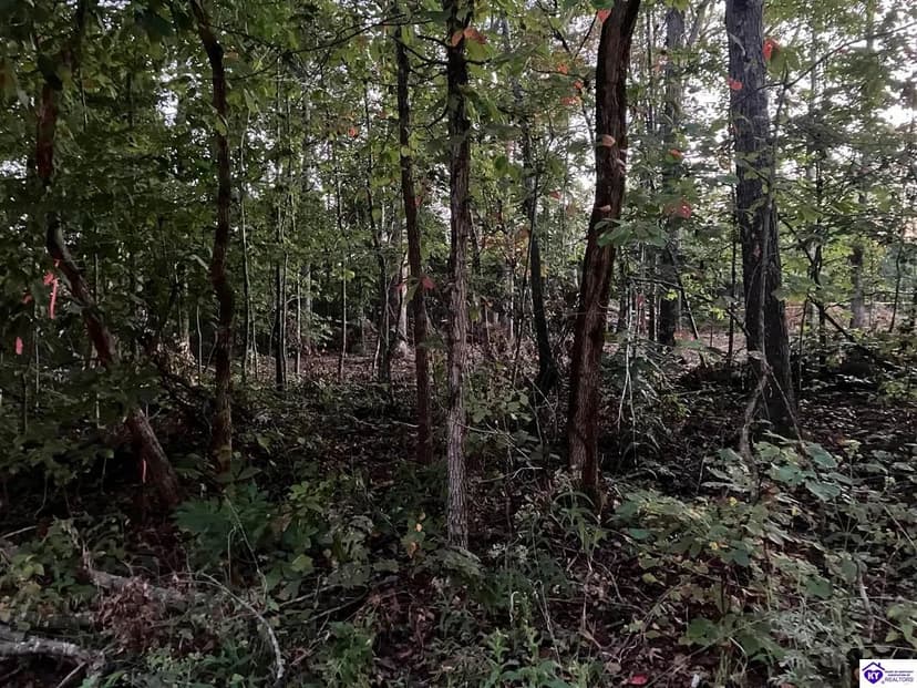 Vacant Land in Leitchfield