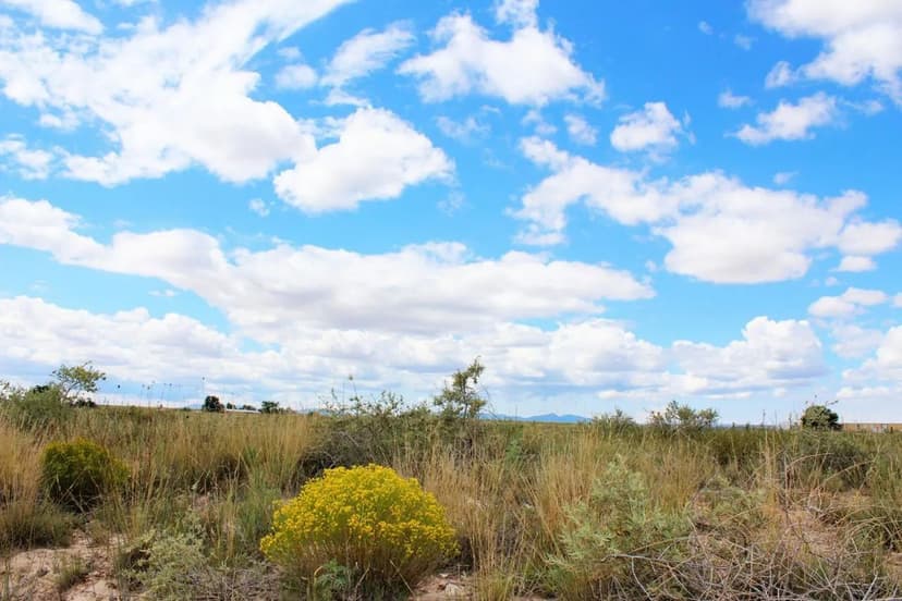 Land -Single Family Acreage in Estancia