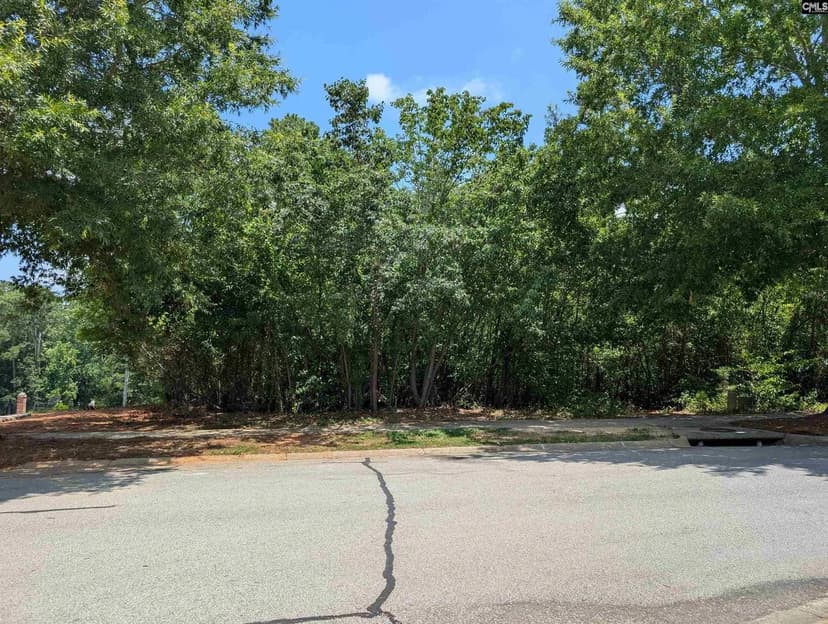 Lots & Land-Other in Blythewood
