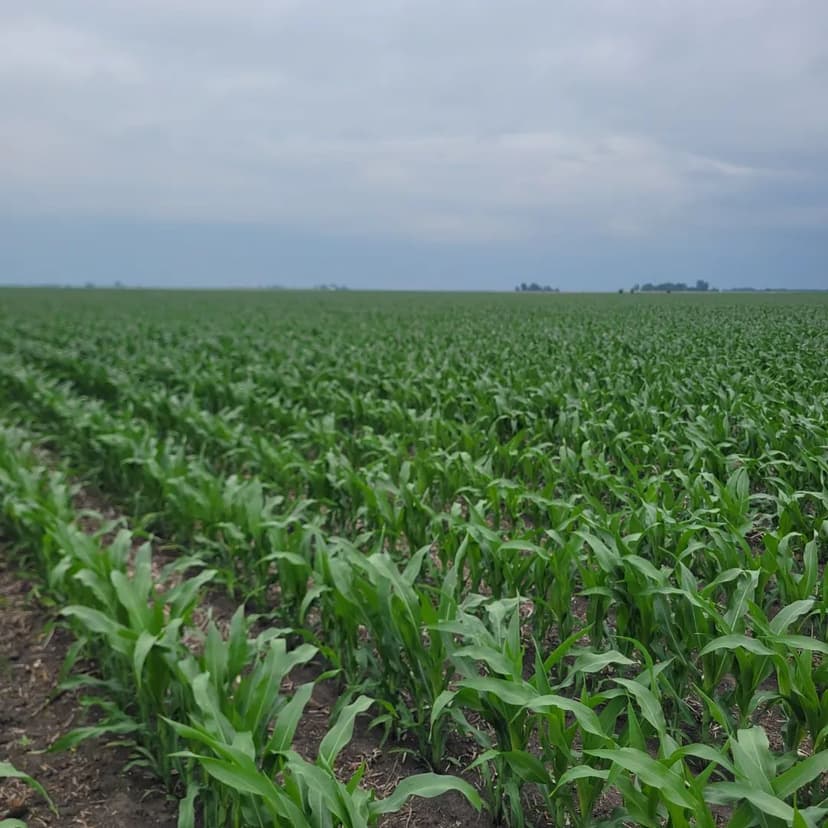 Phyllis Read Trust Farm