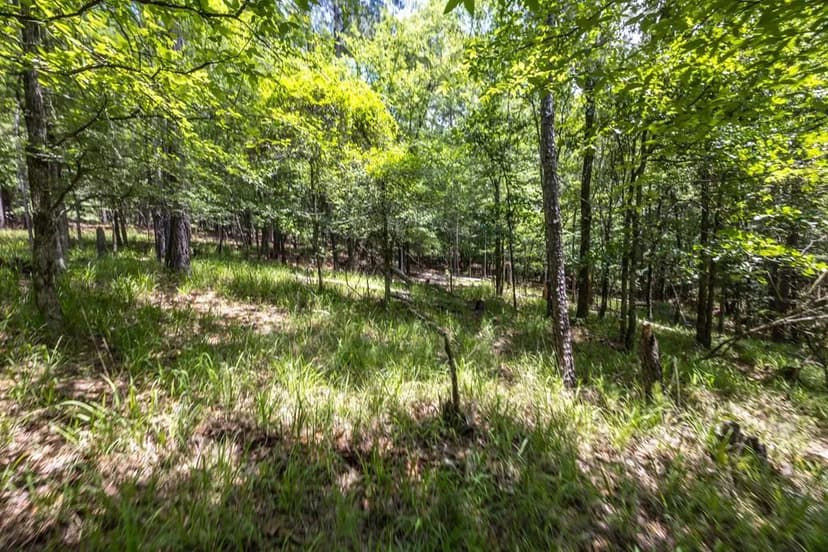 Vacant Land in Columbus