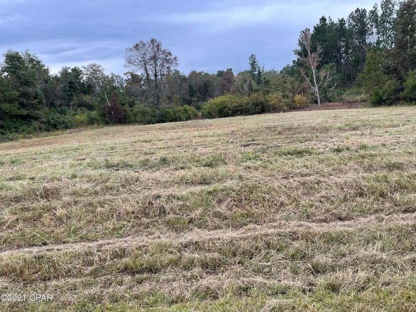 Vacant Land in Chipley