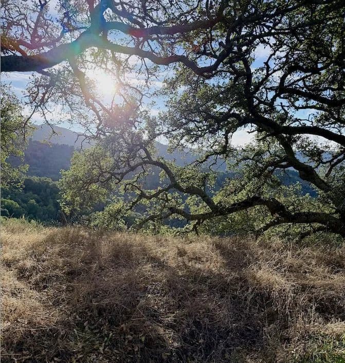 Vacant Land in San Jose