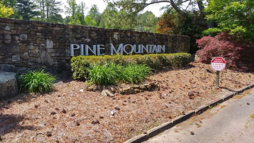 Vacant Land (0-10 Acres) in Connelly Springs