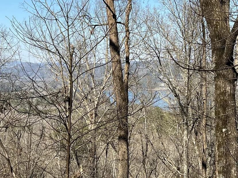 Lots & Land-Other in Ranger