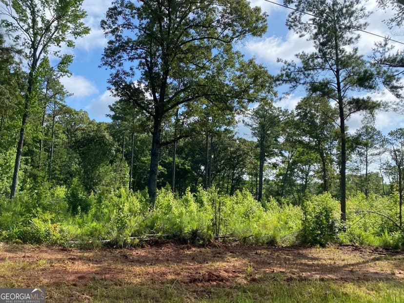 Lots & Land-Other in Forsyth