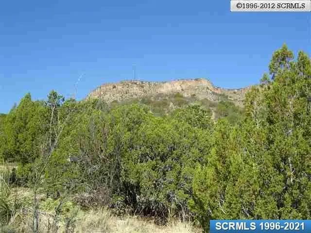 Vacant Land in Mimbres
