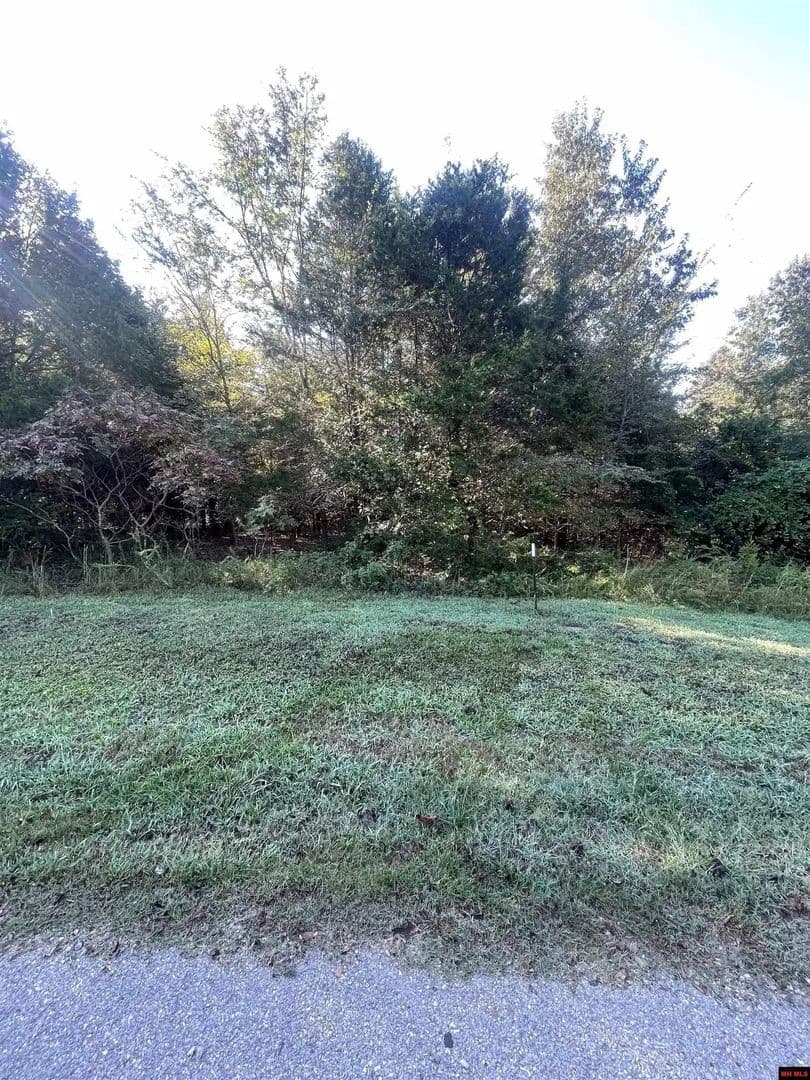 Lots & Land-Other in Bull Shoals