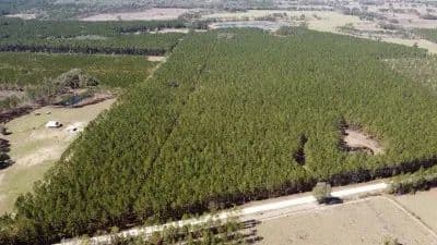 Winding River Preserve