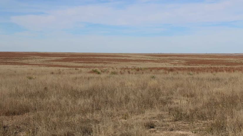 Oklahoma Panhandle Grass Ranch