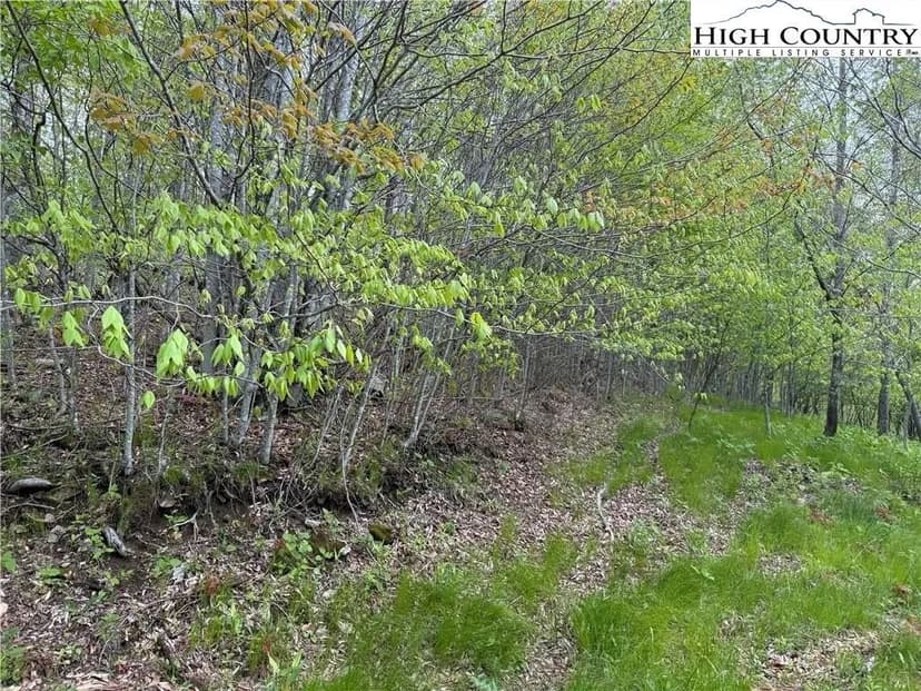 Lots & Land-Other in Banner Elk