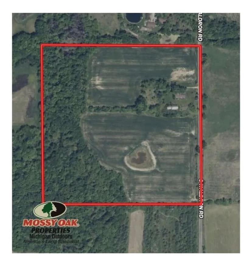 40 +/- Acre Farm in Hillsdale County