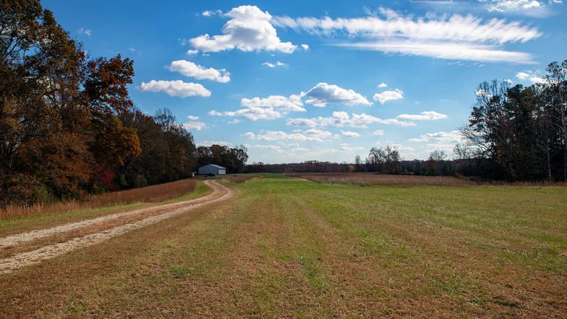 Airstrip with river frontage for sale in Virginia