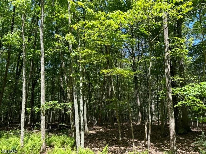 Vacant Land in Sandyston Twp.
