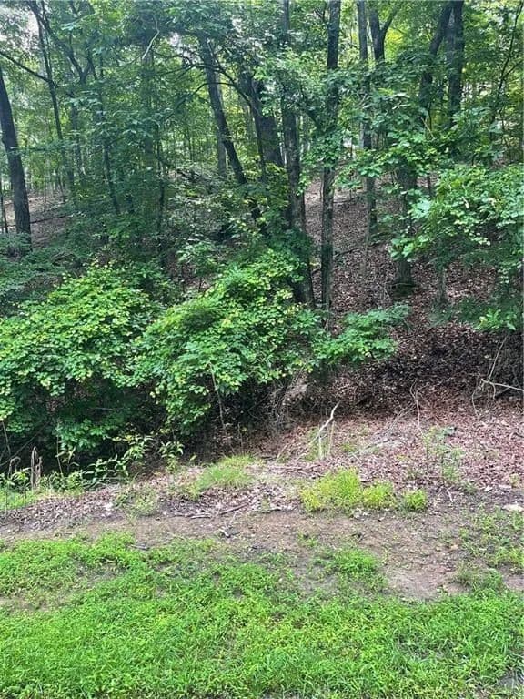 Vacant Land in Waleska