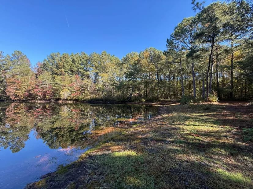 UNDER CONTRACT!! 49 Acres of Cropland, Ponds, Timber, and Potential Homesite for Sale in Robeson County NC!