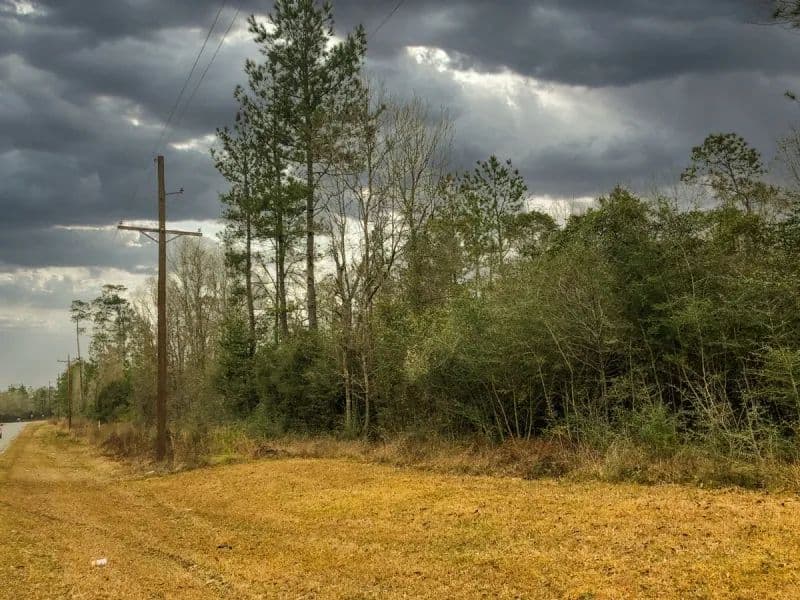 10 Acres | A5 | FM 2937