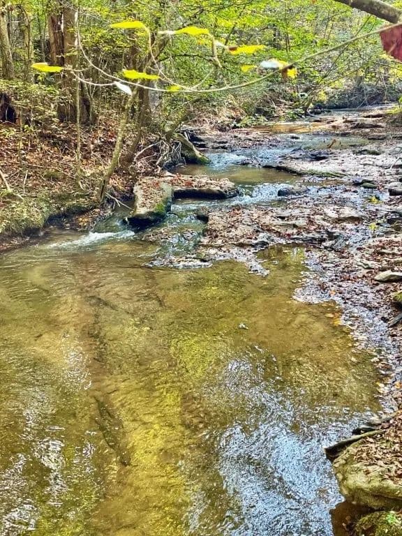 Highway 36 E ~ Tract 4