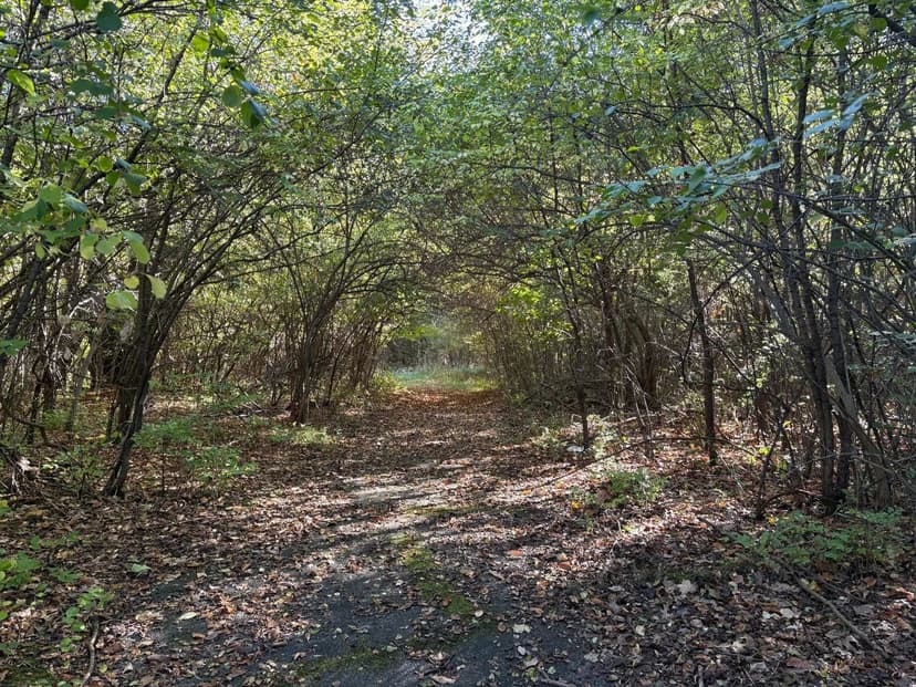 Lots & Land-Other in Jackson