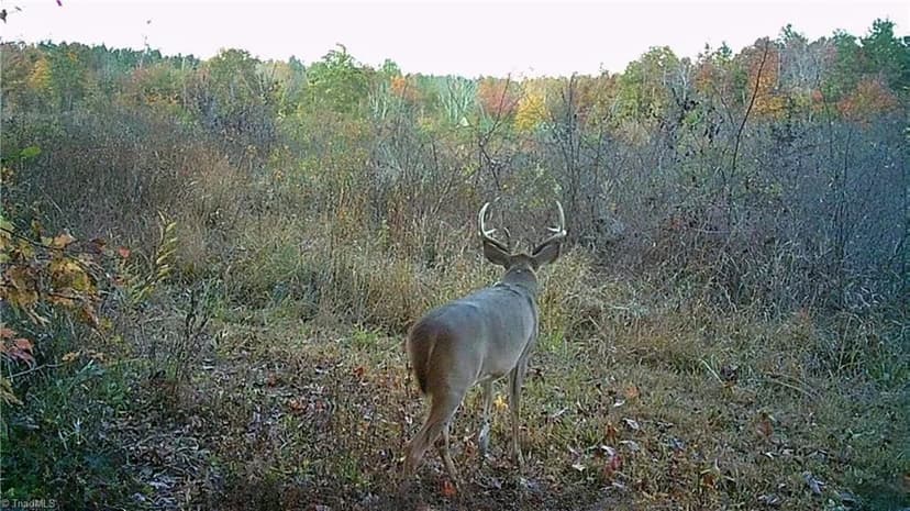 Property from 00 Pulliam Tingen Mine Road - KW