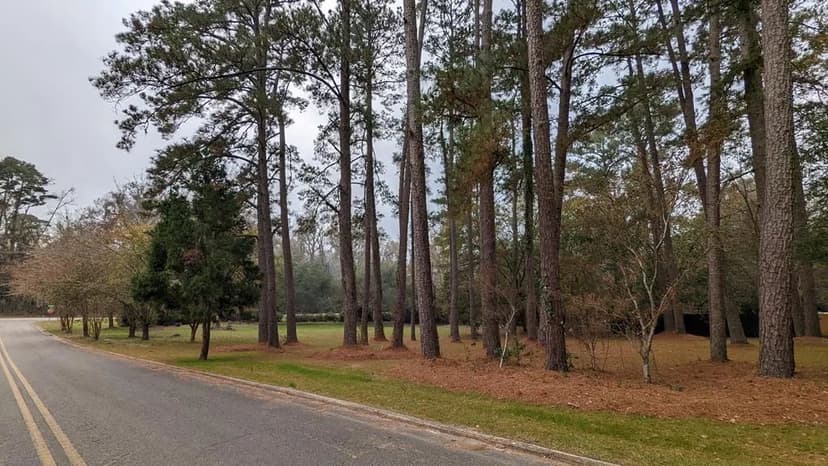 Lots & Land-Other in Thomasville