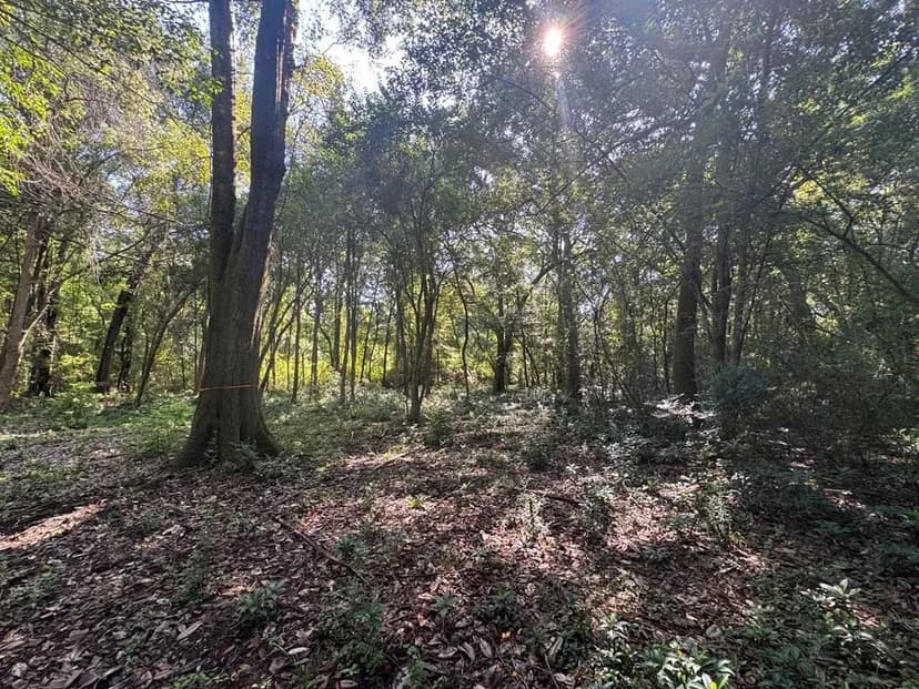 Lots & Land-Other in Thomasville