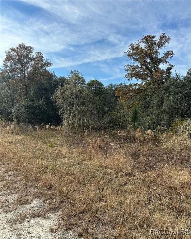 Lots & Land-Other in Dunnellon