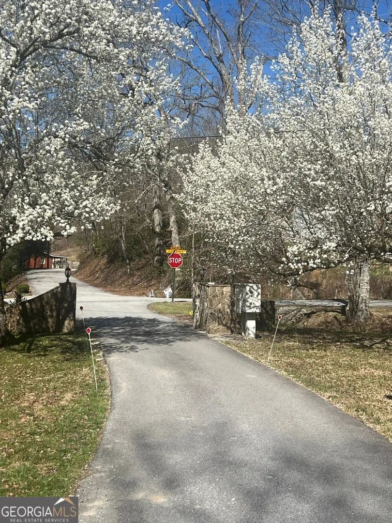 Lots & Land-Other in Rabun Gap