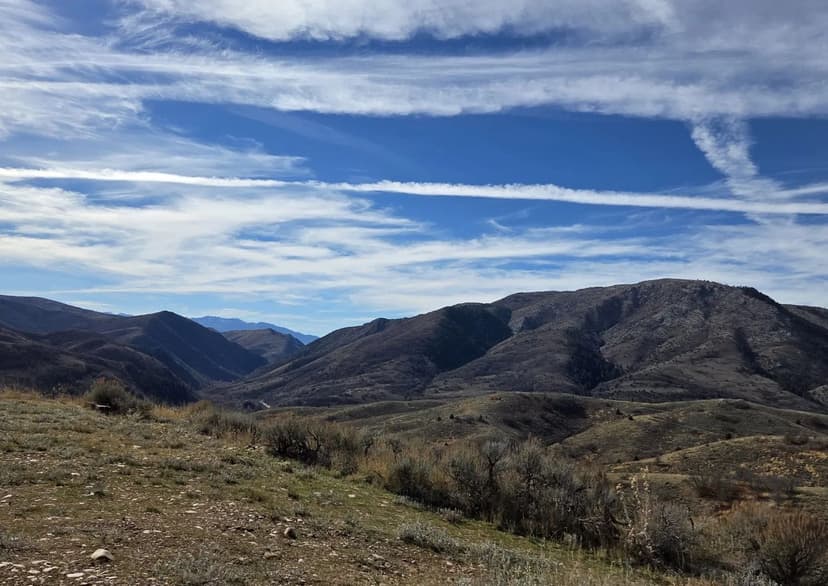 Land -Single Family Acreage in Huntsville