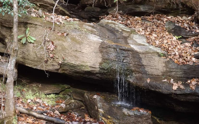 Lots & Land-Other in Clayton