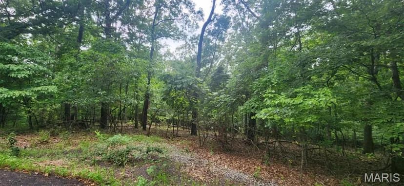 Vacant Land in Marthasville