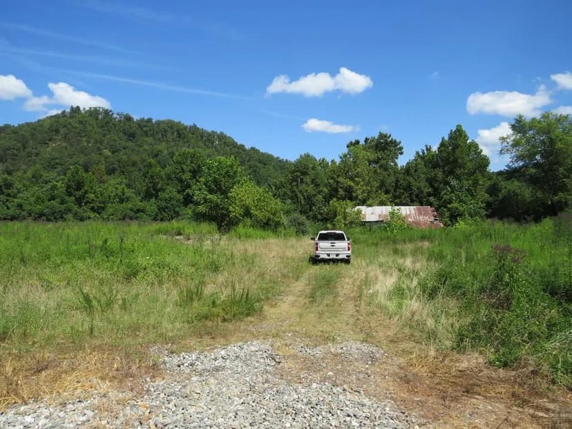 Lots & Land-Other in Paintsville