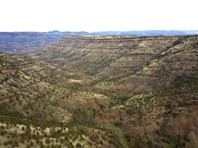 Shoofly Creek - Elk/Mule Deer Ranch +/- 1398 Acres