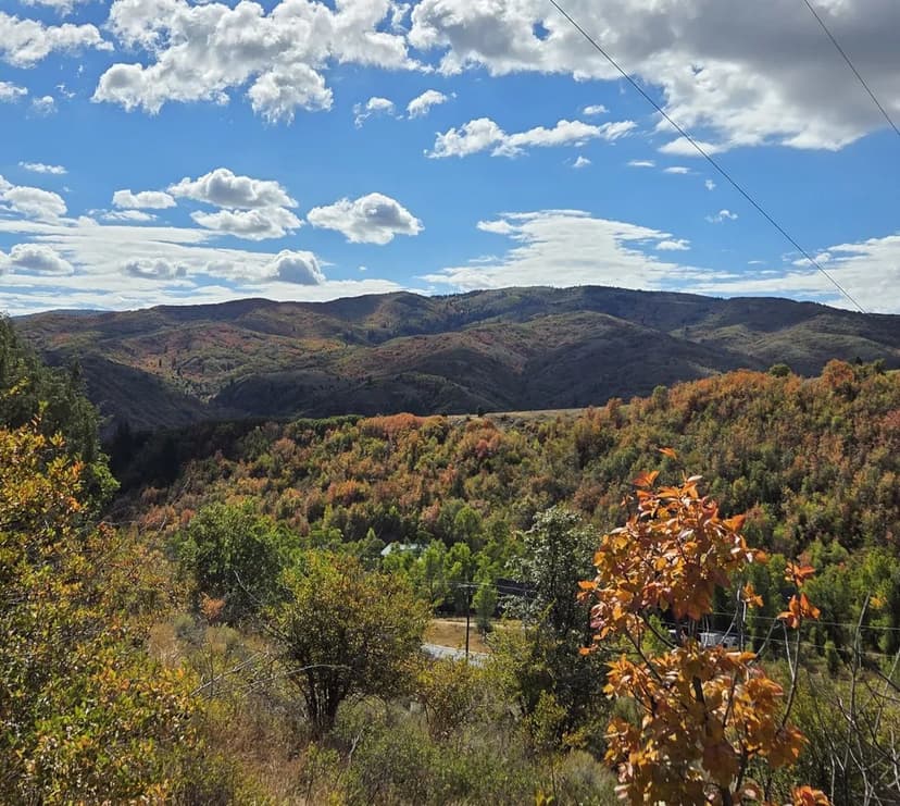 Land -Single Family Acreage in Huntsville