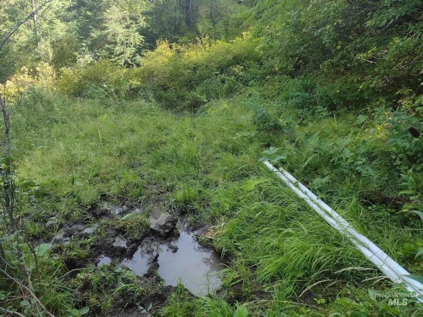 Lots & Land-Other in CottonWood