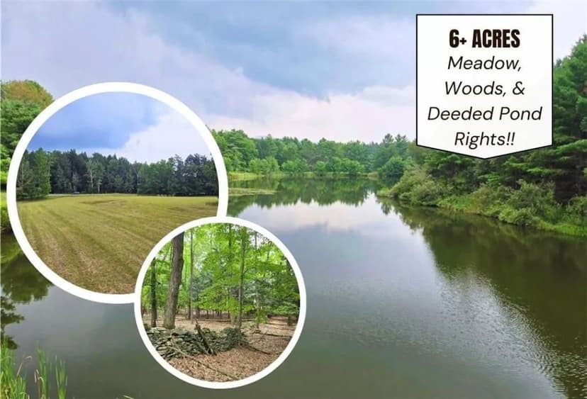 Land -Single Family Acreage in Gilboa