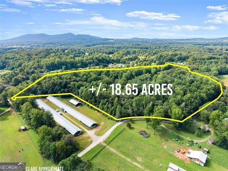 Property from 869 Mossy Creek Church Road - KW