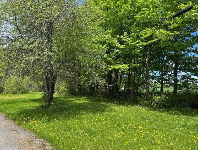 Lots & Land-Other in Burke