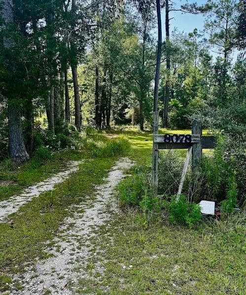 Vacant Land (10+ Acres) in DeRidder