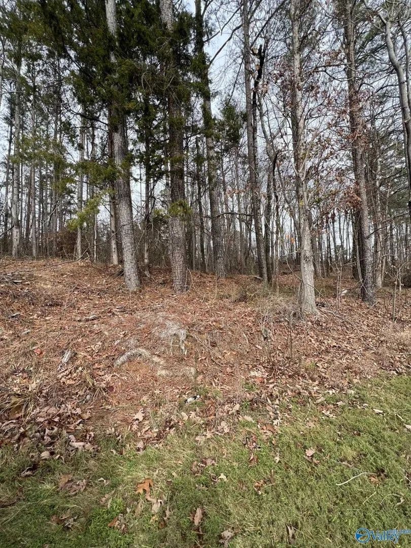 Lots & Land-Other in Guntersville