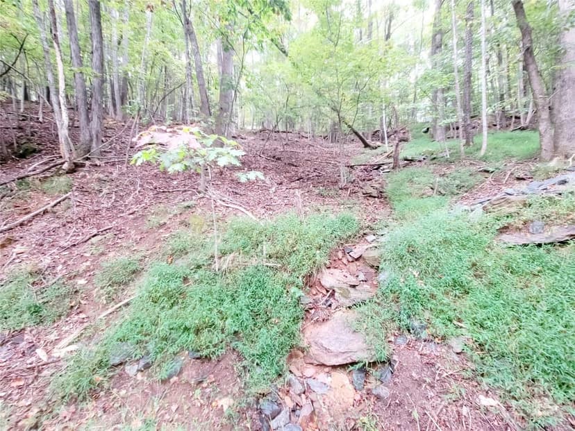 Lots & Land-Other in Mills River