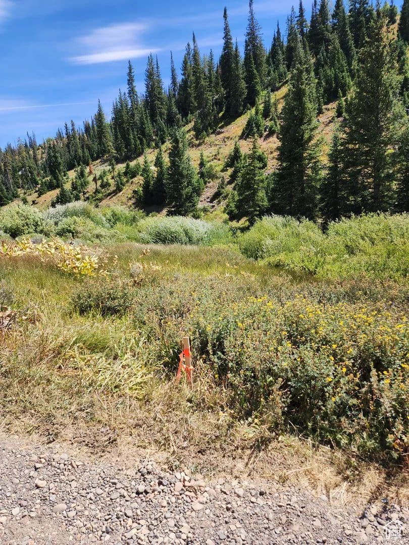Vacant Land in Fairview