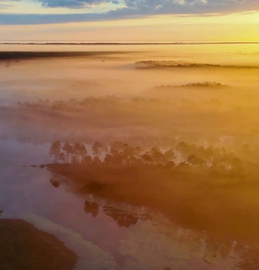 2,511 Acres in Hancock County (Whispering Pines) in Perkinston, MS