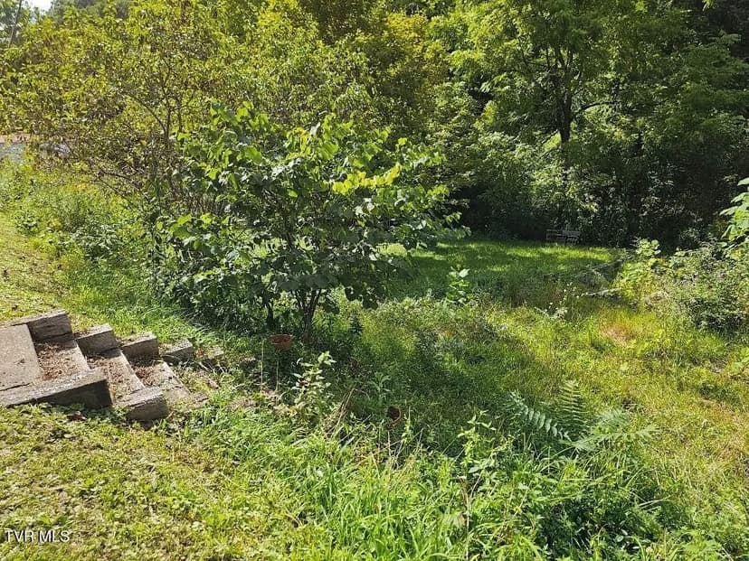 Lots & Land-Other in Pound