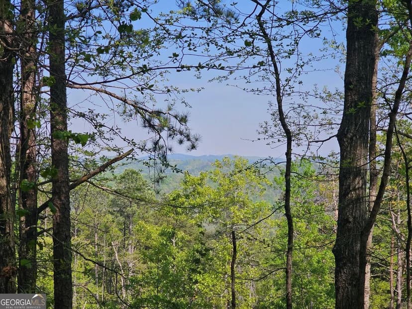 Lots & Land-Other in Ranger