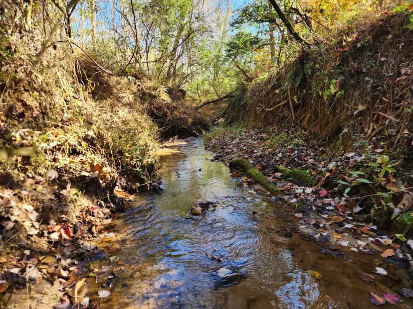 +/- 18ac - 701 Moravian Falls Rd Wilkesboro NC - Wilkes Co