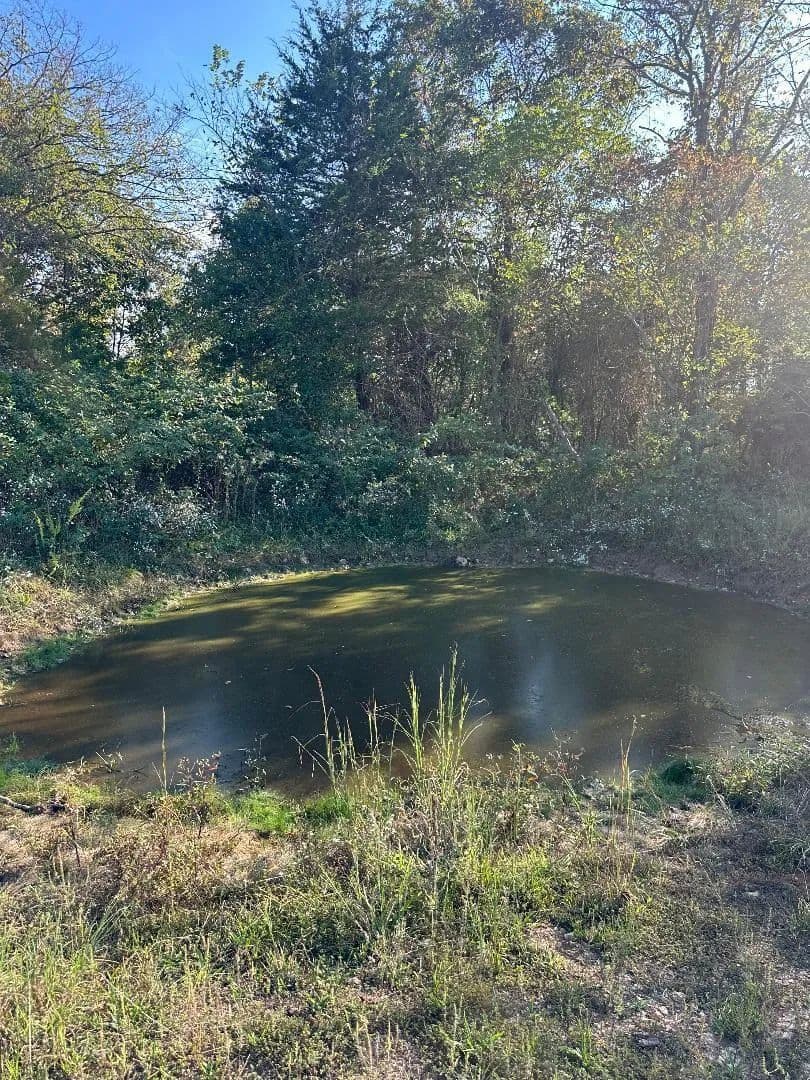 Lots & Land-Other in Mountain Grove